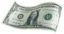 Cash